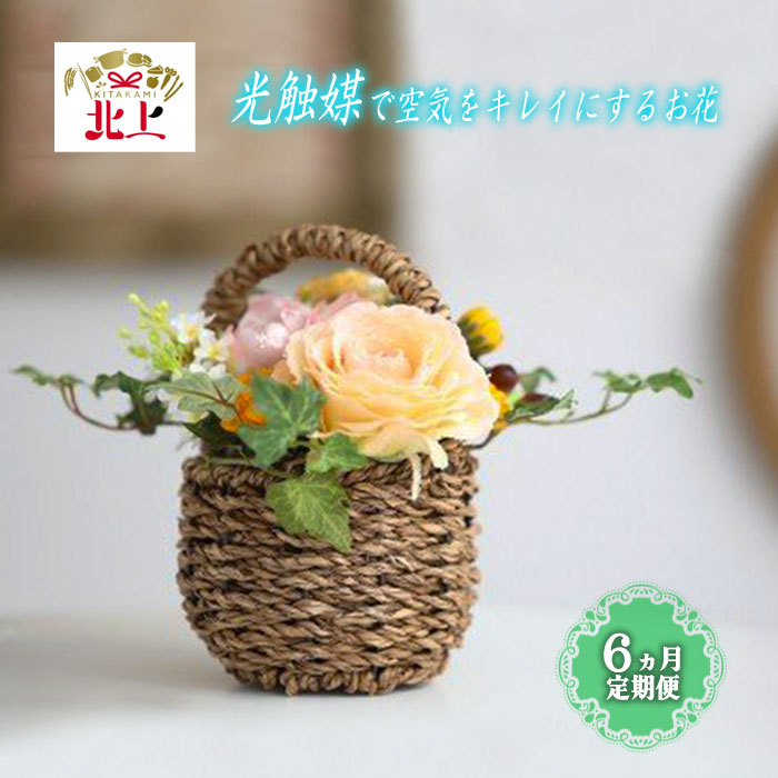 【ふるさと納税】【 わくわく 定期便 / 6か月 】空気をきれいにするアートフラワー 消臭 除菌 空気清浄 光触媒 健康 花 フラワーアレンジメント 雑貨 贈り物 プレゼント インテリア リビング 寝室 トイレ レストルーム あとりえヒロ|岩手県北上市