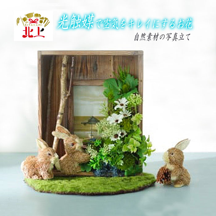 好いたらしい豚差し上げ物”GIFTON”
