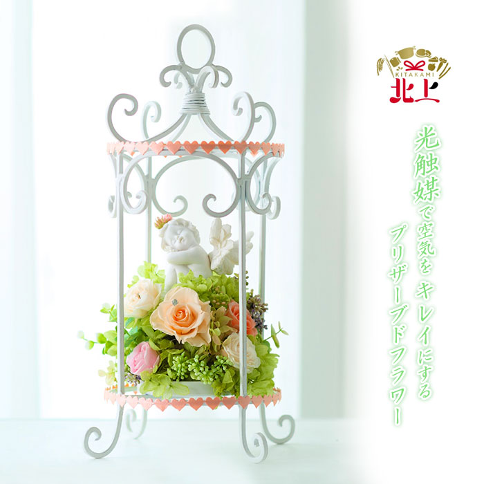 好いたらしい豚差し上げ物”GIFTON”
