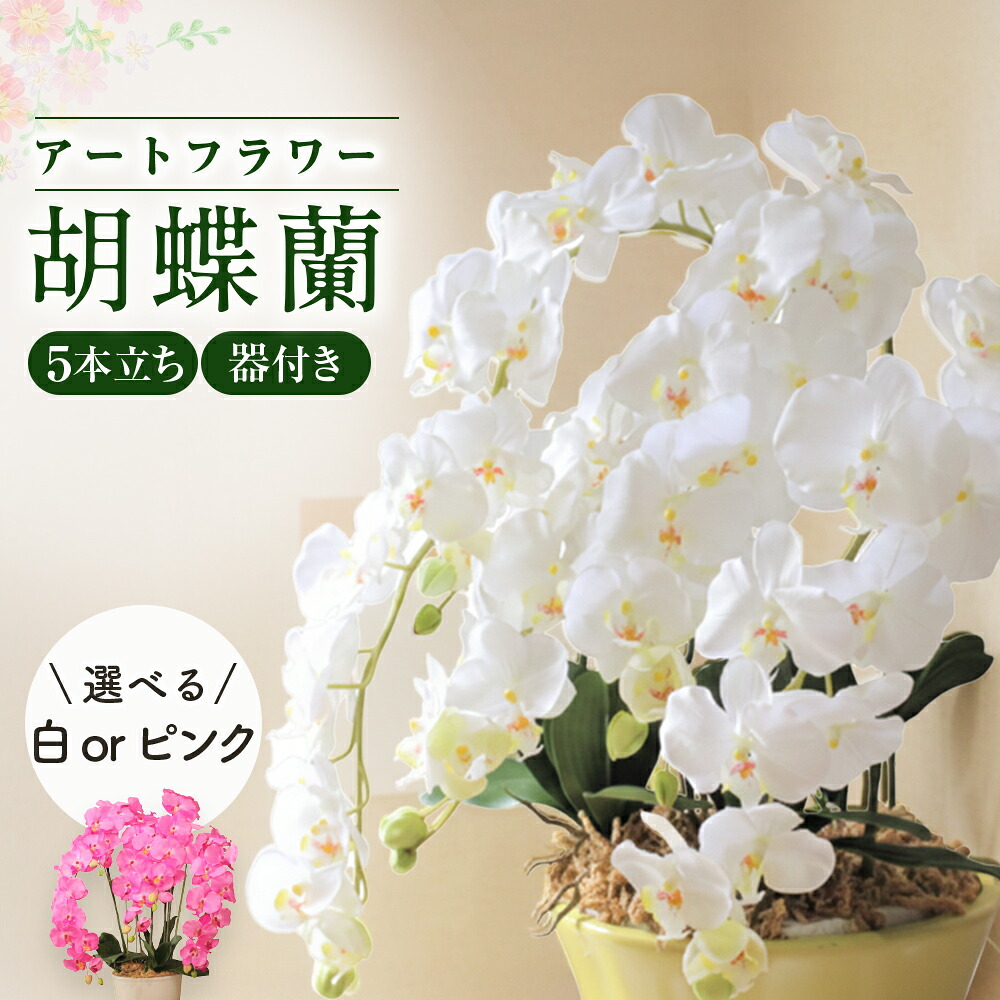 好いたらしい豚差し上げ物”GIFTON”