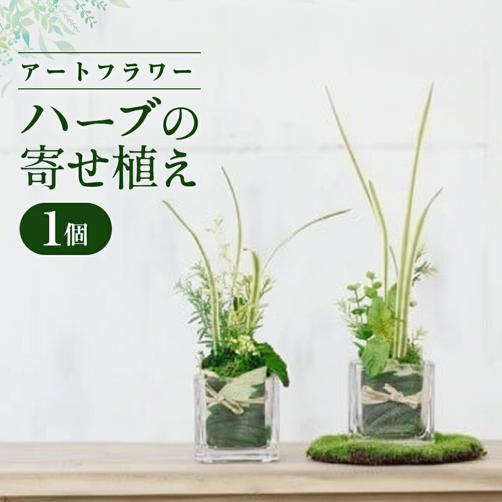 好いたらしい豚差し上げ物”GIFTON”