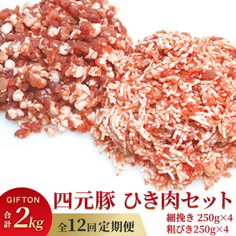 【ふるさと納税】定期便 12ヶ月  岩手 四元豚  ひき肉 2kg セット GIFTON ( 細挽 250g ×4 粗挽 250g ×4 ) 豚肉 ブランド豚 ミンチ ポーク 挽肉 挽き肉 豚肉 粗挽 細挽 小分け ハンバーグ 麻婆豆腐 餃子 冷凍 夕飯 料理 ごえん 株式会社 ※レビューキャンペーン対象品※