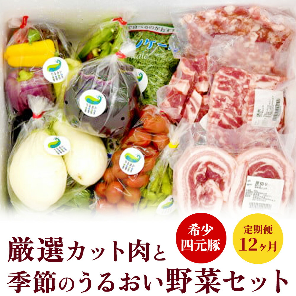 【ふるさと納税】定期便 12ヶ月  岩手 四元豚 厳選 カット肉 と 季節のうるおい野菜 セット GIFTON 新鮮 旬 野菜 冷蔵 希少 豚肉 ポーク 豚バラ ロース トンテキ しゃぶしゃぶ 薄切り 角切り ミンチ ひき肉 ごえん株式会社 うるおい春夏秋冬 ※レビューキャンペーン対象品※