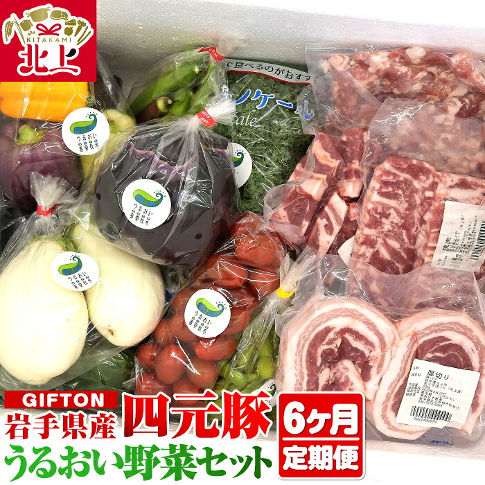 【ふるさと納税】岩手県 北上市産 四元豚 厳選カット肉と季節のうるおい野菜セット【6ヶ月定期便】 新鮮 旬 野菜 冷蔵 希少 豚 肉 ポーク 豚バラ ロース トンテキ しゃぶしゃぶ 薄切り 角切り ミンチ ひき肉 ごえん株式会社 うるおい春夏秋冬 O0038