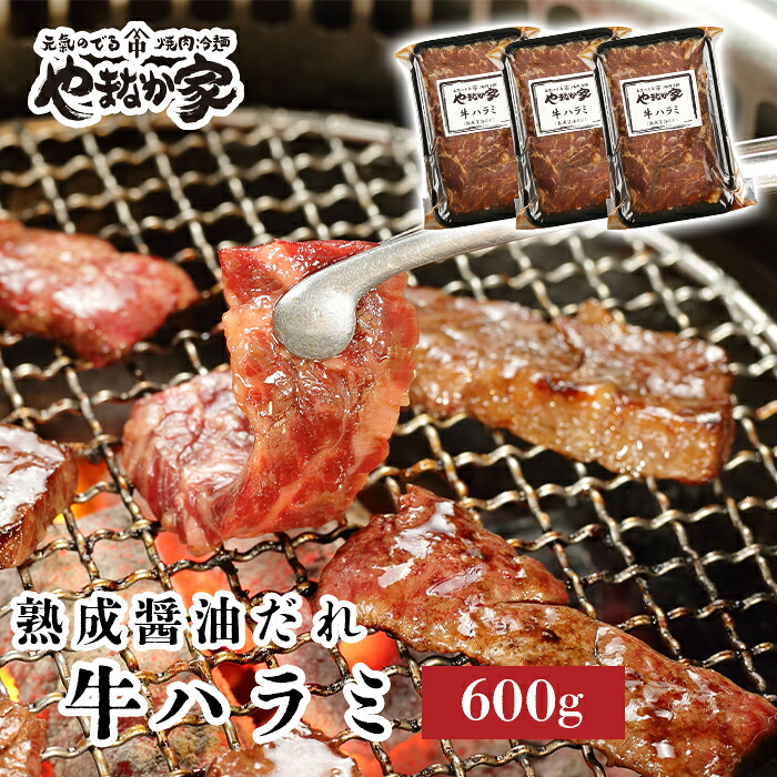 【ふるさと納税】旨みたっぷり牛ハラミ【熟成醤油だれ】600g 焼肉 やまなか家 牛肉 冷凍 BBQ アウトドア パーティー お祝い ガッツリ 母の日 父の日 お中元 お土産 贈り物 ご贈答 KYフーズ (K2-028) 岩手県 北上市 D0500|岩手県北上市