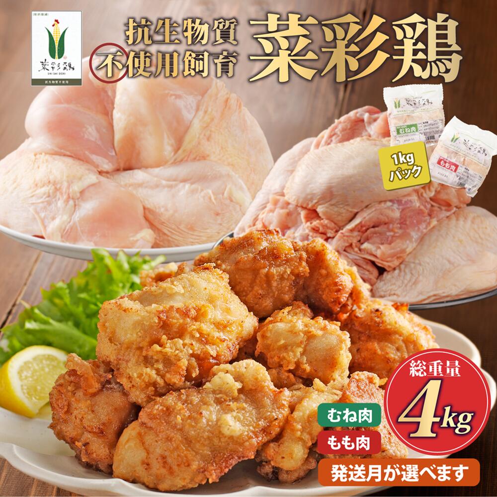 【ふるさと納税】《発送月が選べる！》岩手県産 「菜彩鶏」 もも肉、むね肉４kgセット（各1kg×2袋 計4kg）国産 鶏肉 ブランド 鶏 もも むね カットなし 選べる 発送月 冷凍 大容量 業務用 チキン 1.0kg入 計 4.0kg 若鶏 送料無料