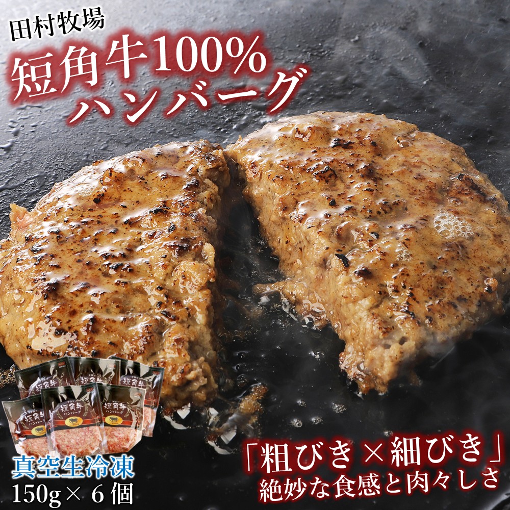 【ふるさと納税】田村牧場 短角牛100%ハンバーグ 150g×6個セット（冷凍 いわて 短角牛 牛肉 牛 国産 肉汁 たっぷり ギフト 冷凍 ジューシー キャンプ BBQ 煮込み 贈りもの ご褒美 プレゼント）