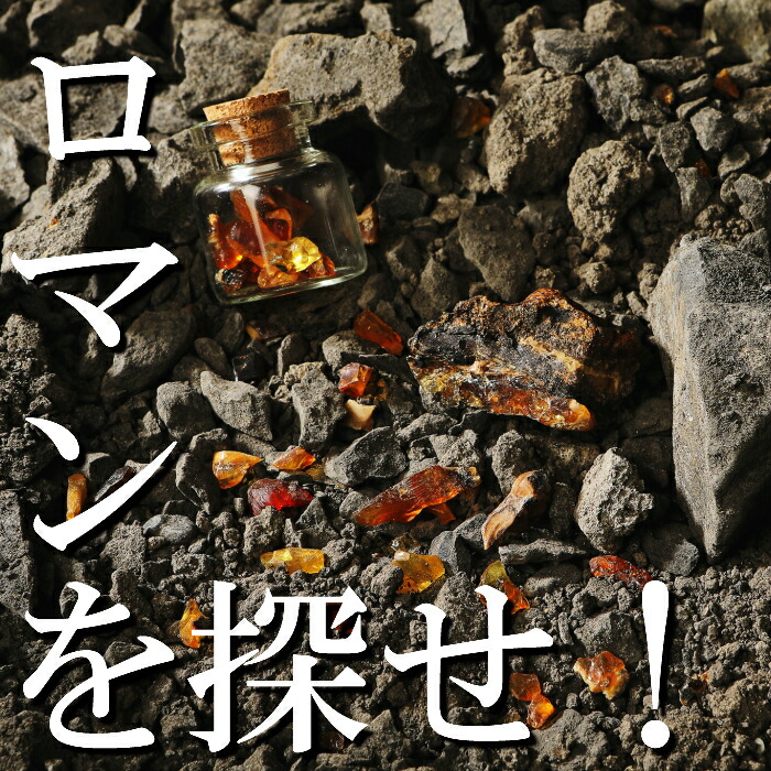 琥珀缶詰 採掘体験缶セット