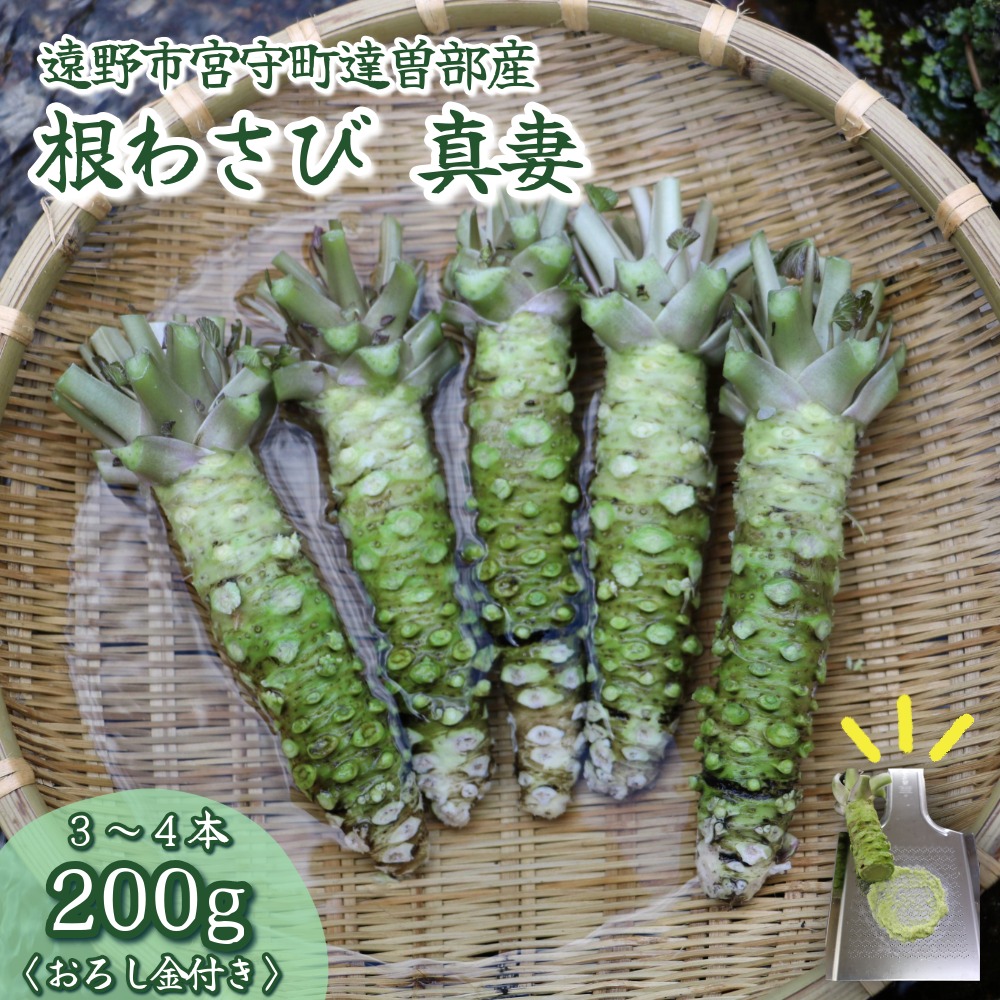 わさび 楽天市場】【ふるさと納税】わさび 真妻 200g （3〜4 本）葵食品 / 根