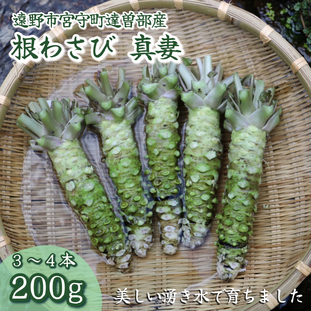 【ふるさと納税】わさび 真妻 200g （3～4 本）葵食品 / 根わさび 山葵 本わさび wasabi 生産者直送 農家直送 生 新鮮 岩手県 遠野市 宮守町 達曽部 国産 寿司 刺身 お肉 ステーキ 薬味 わさび丼 そば などに おすすめ 香り お取り寄せ 送料無料 【東北 一のわさびの産地】