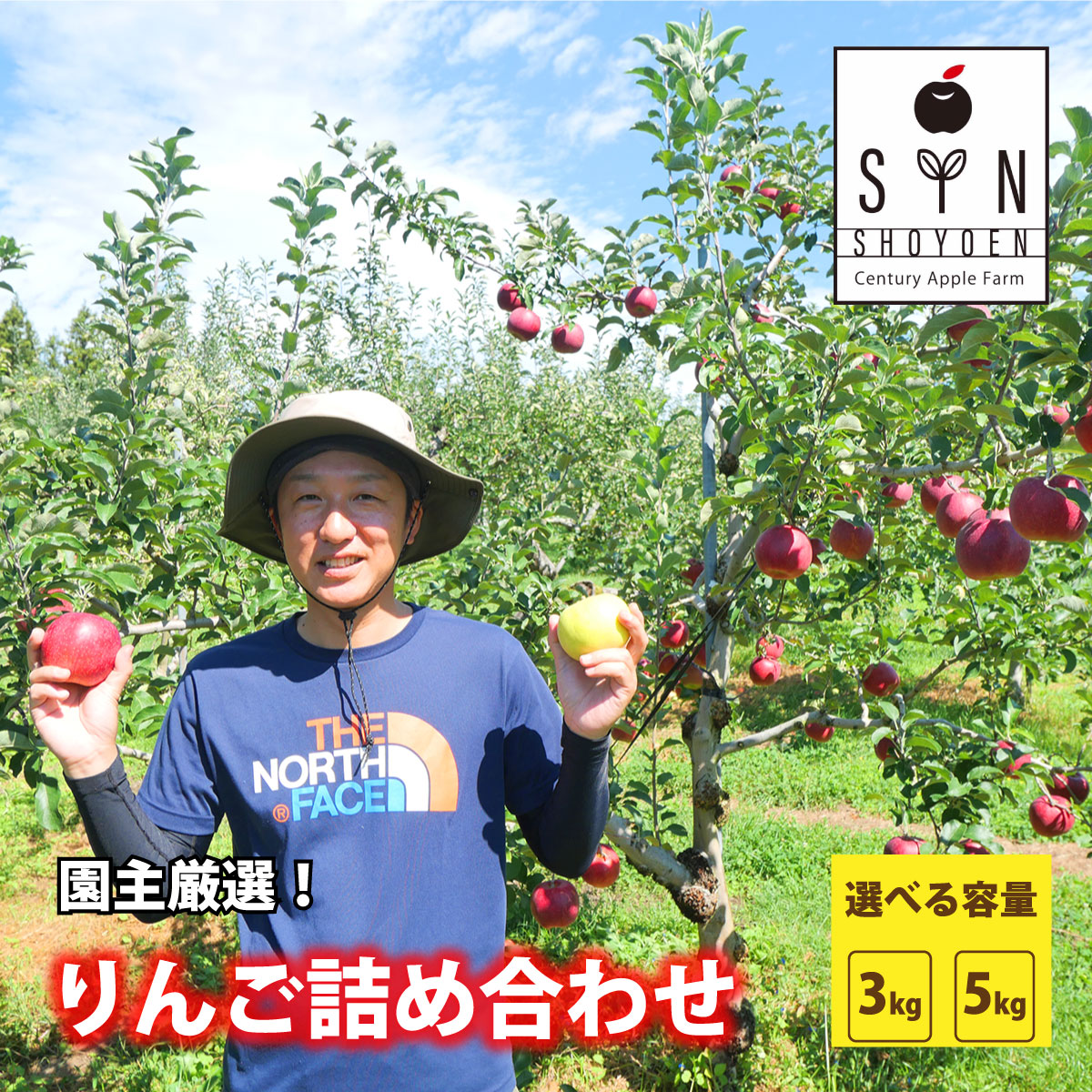 楽天市場】【ふるさと納税】干し りんご 3個 60g×3袋 林檎 楽天市場】【ふるさと納税】干し りんご 3個 60g×3袋 林檎