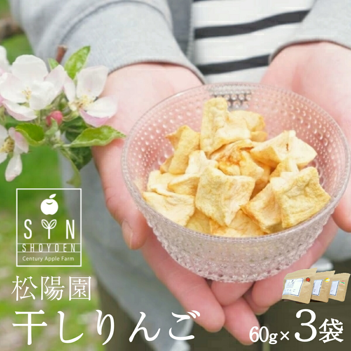 【ふるさと納税】干し りんご 3個 60g×3袋 林檎 リンゴ フルーツ 干しりんご 乾燥 ドライ ドライフルーツ  歯固め 離乳食 子ども おやつ 無添加 松陽園 樹上 完熟 果物 果実 岩手県 遠野市 産 ギフト プレゼント 農家直送 産地直送 松陽園 生産者 手作り 六次産業 送料無料