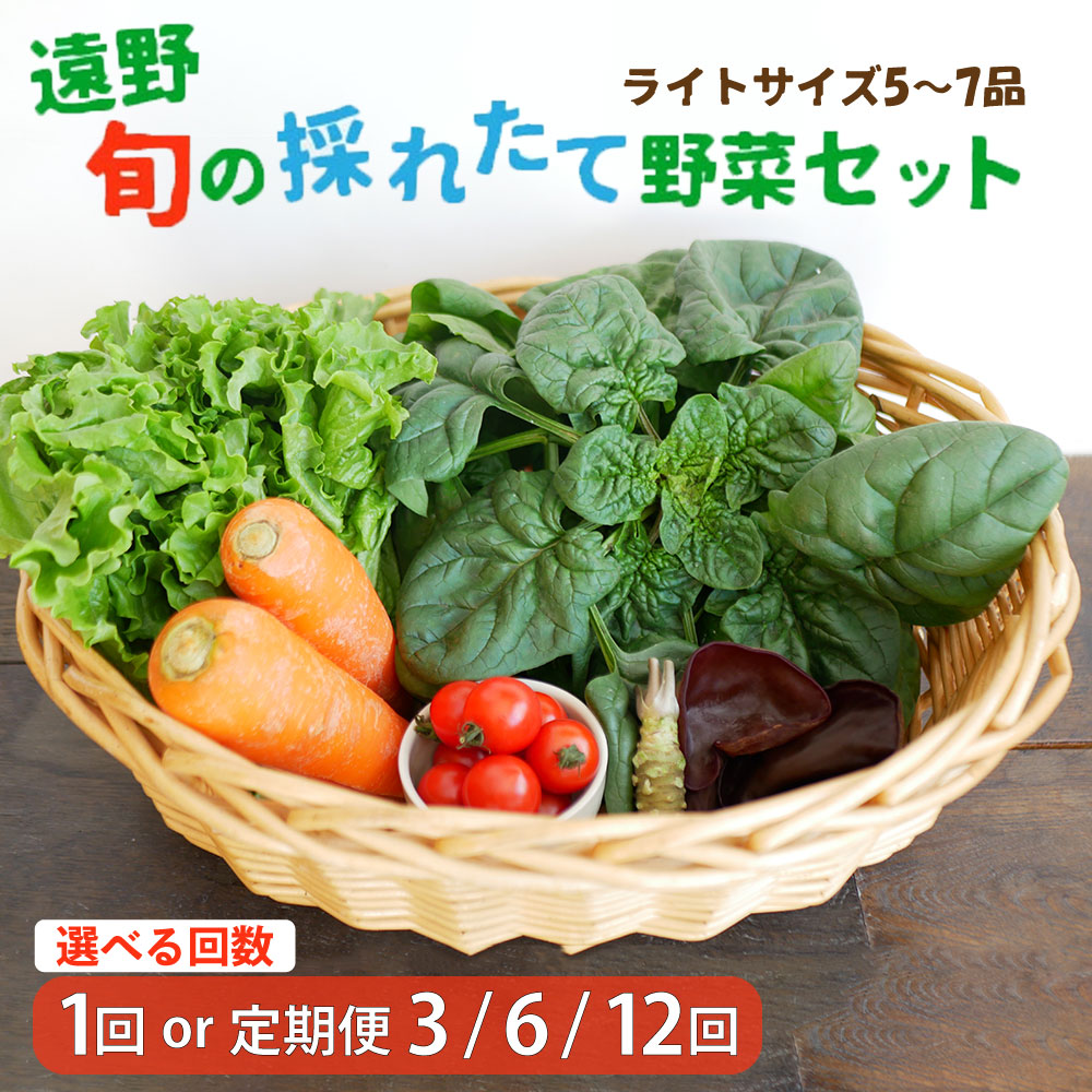 【ふるさと納税】野菜セット 旬の採れたて ライト サイズ（5～7品）選べる回数 お試し 1回  定期便3・6・12回 こんたでぃーの遠野 岩手県 遠野市 産 やさい 詰め合わせ 新鮮 直送 旬 仕送り キャンプ アウトドア バーベキュー BBQ 料理 栄養 家庭 健康 お取り寄せ 送料無料