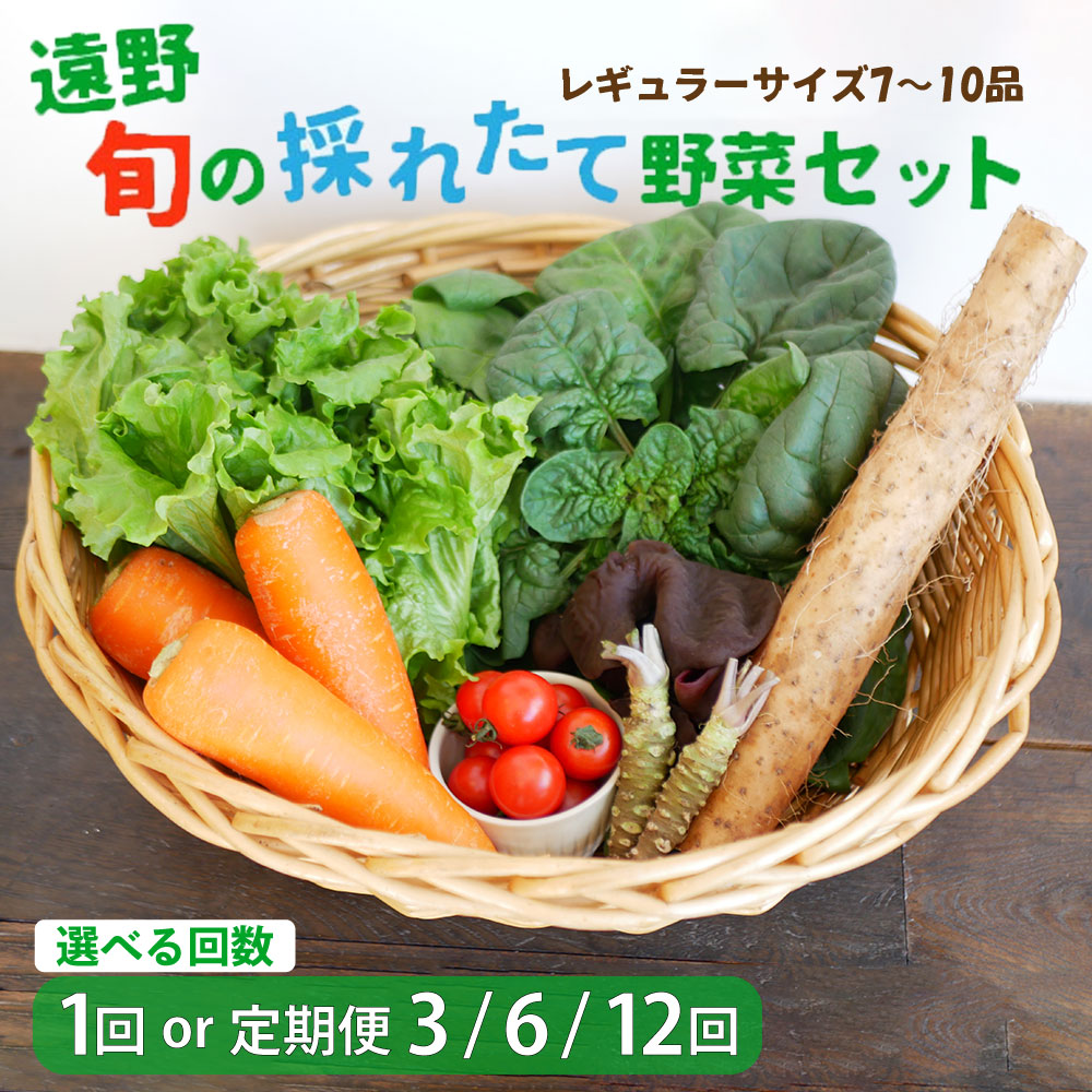 【ふるさと納税】旬の採れたて 野菜セット レギュラー サイズ（7～10品）選べる回数 お試し 1回  定期便 3・6・12回 こんたでぃーの遠野 岩手県 遠野市 やさい 詰合せ 新鮮 直送 旬 仕送り キャンプ アウトドア バーベキュー BBQ 料理 栄養 家庭 健康 お取り寄せ 送料無料