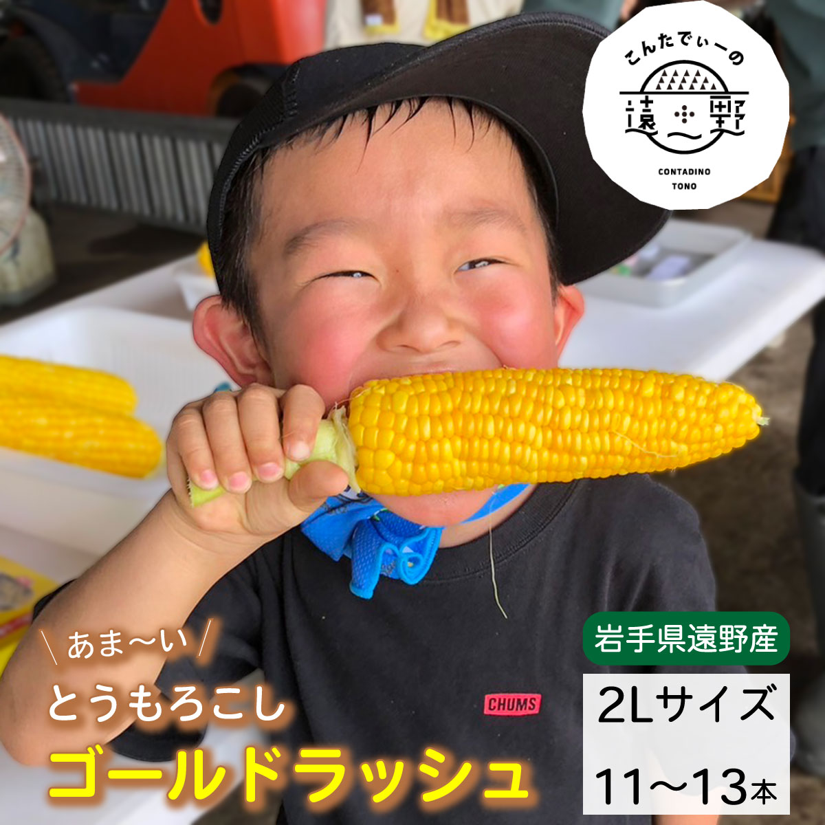 【ふるさと納税】甘ーい とうもろこし ゴールドラッシュ 朝採り こんたでぃーの遠野 先行予約 高糖度 約 5 kg 2L サイズ 11~13本 2025年 7月下旬 から 発送予定 岩手県 遠野市 農家 産地 直送 甘い コーン 夏 野菜 トウモロコシ 数量限定 送料無料