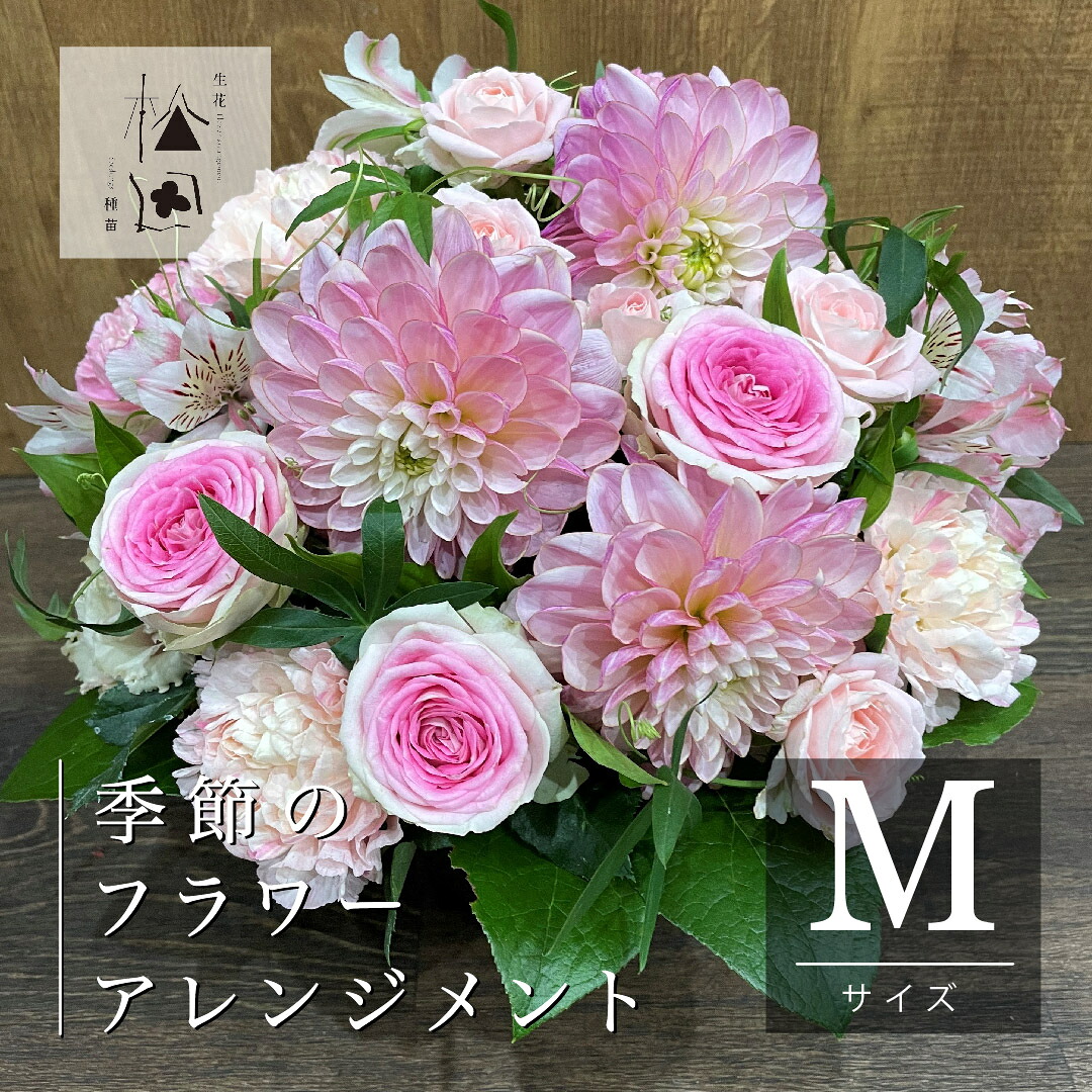 【ふるさと納税】花 時期 の 御花 申し合わせ M大きさ 松田活け花店 活け花 時期の花 差し上げ物 差し上げ物 生まれ落ちる日 室内装飾 祝賀会 胸花 一緒になる祝する日 一緒になる祝賀会 開店祝賀会 定年 退位祝賀会 母の日 父の日 敬老の日 御花かざり付ける手並み士 1級 流出商品目録 差し上げ物 呉れて遣る 祝する日