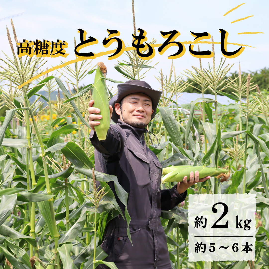 【ふるさと納税】とうもろこし 先行予約 高糖度 ゴールドラッシュ 約 2kg L サイズ  5~6本 2025年 7月23日 ~ 8月10日 発送予定 岩手県 遠野市 菊池一真 農家直送 産地直送 朝採り 甘い コーン 夏 野菜 トウモロコシ 数量限定 送料無料