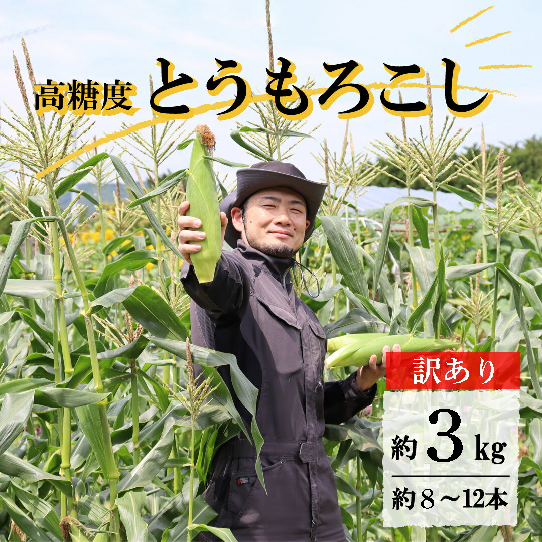 【ふるさと納税】 訳あり とうもろこし 先行予約 高糖度 ゴールドラッシュ 約 3kg 8～12本前後 2025年 7月23日 ~ 8月10日 発送予定 岩手県 遠野市 菊池一真 農家直送 産地直送 朝採り 甘い コーン 夏 野菜 トウモロコシ 数量限定 送料無料 日付指定不可