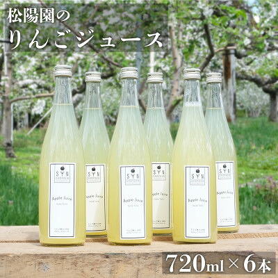 【ふるさと納税】松陽園 りんごジュース 720ml&times;6本セット 遠野産りんご100%使用【1511274】｜岩手県遠野市 12,410円
