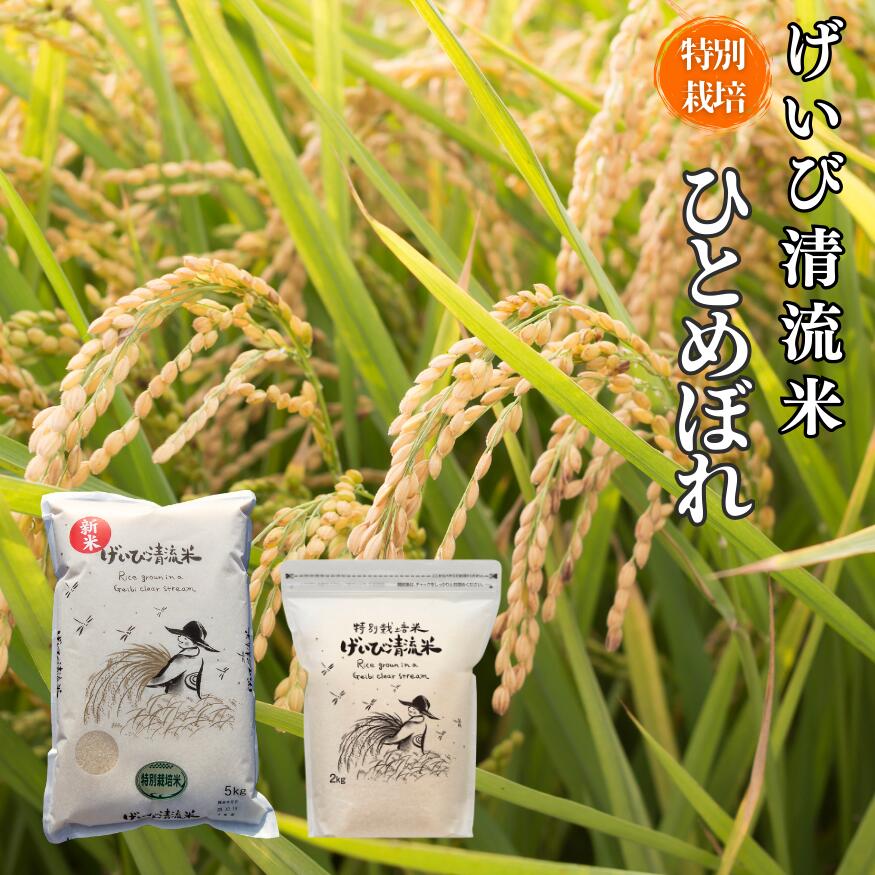 コロナ応援キャンペーン！！穂仁王式天日干しササニシキ5キロ×2袋 コロナ応援キャンペーン！！穂仁王式天日干しササニシキ5キロ×2