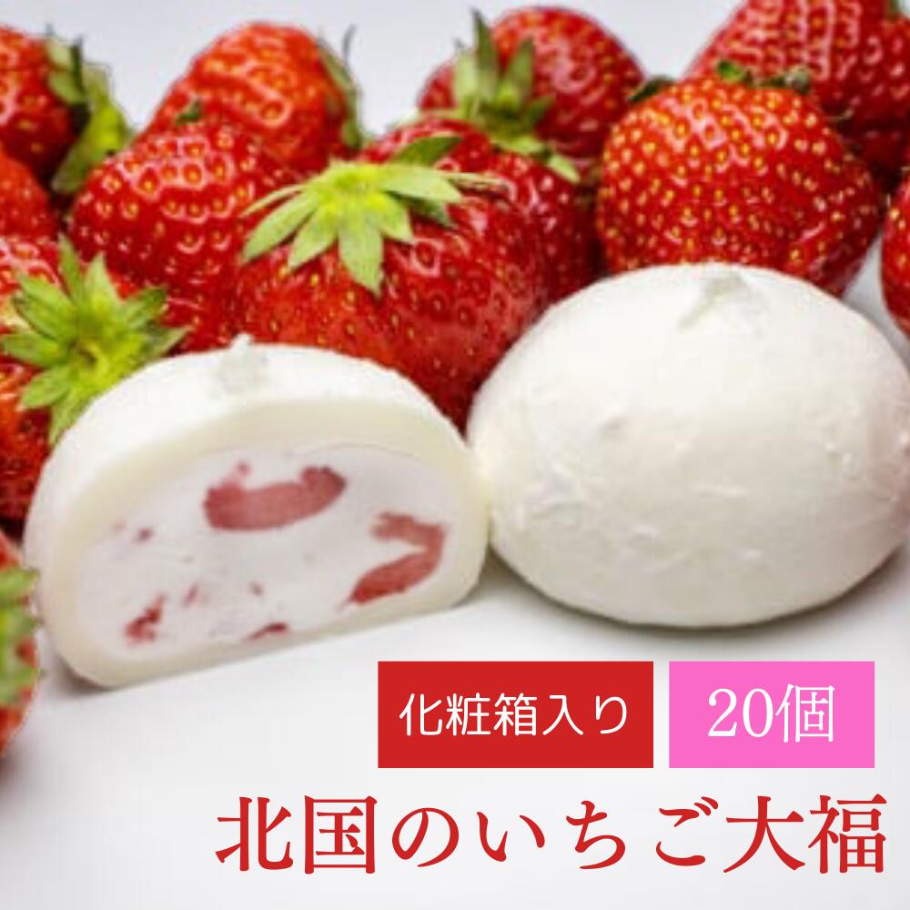 【ふるさと納税】北国の いちご大福 20個 (10個入&times;2箱) 冷凍 個包装 【 大福 いちご大福 生クリーム大福 苺大福 餅 クリーム 高級 大福 スイーツ ひんやり お取り寄せ 和スイーツ 和菓子 お菓子 プレゼント ギフト バレンタインデー ホワイトデー 田代製菓 】｜岩手県一関市