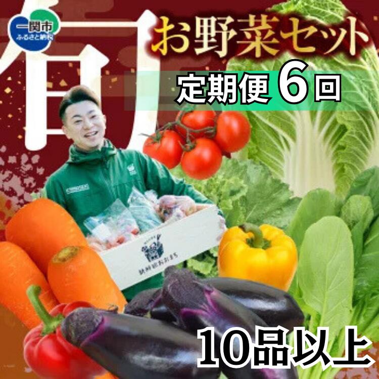 【ふるさと納税】野菜 定期便 お楽しみ 6回 野菜セット 旬 新鮮 詰め合わせ セット ギフト 直送 農家 夏野菜 おまかせ お取り寄せ 産直直送 産直 秋 冬 サラダ 詰合せ 6times