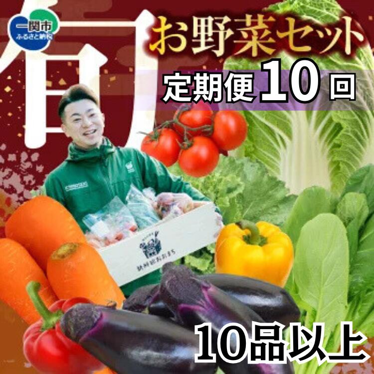 【ふるさと納税】野菜 定期便 10回 お楽しみ 野菜セット 旬 新鮮 詰め合わせ セット ギフト 直送 農家 夏野菜 おまかせ お取り寄せ 産直直送 産直 秋 冬 サラダ 詰合せ 10times｜岩手県一関市