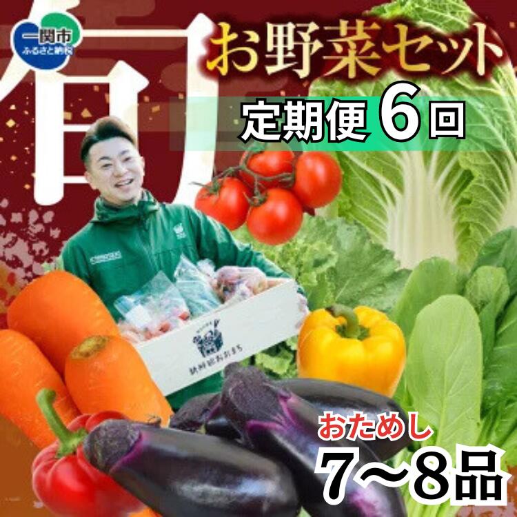 【ふるさと納税】定期便 6回 野菜 お試し 野菜セット お楽しみ 旬 新鮮  詰め合わせ 7～8品 果物 フルーツ ギフト 直送 農家 おまかせ お取り寄せ 産直直送 産直  冬 春 サラダ 詰合せ りんご きのこ 6times