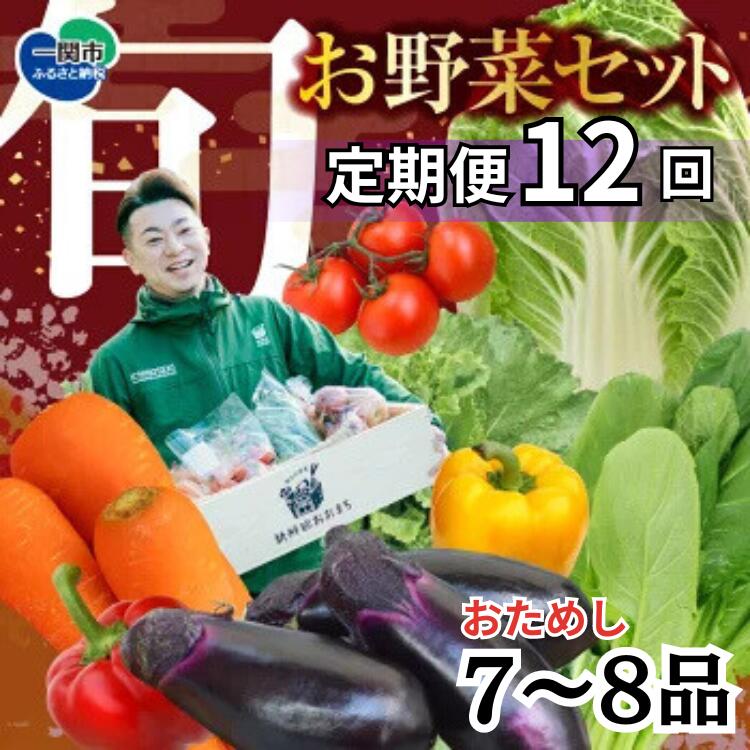 【ふるさと納税】定期便 12回 野菜 お試し 野菜セット お楽しみ 旬 新鮮  詰め合わせ 7～8品 果物 フルーツ ギフト 直送 農家 おまかせ お取り寄せ 産直直送 産直  冬 春 サラダ 詰合せ りんご きのこ 12times