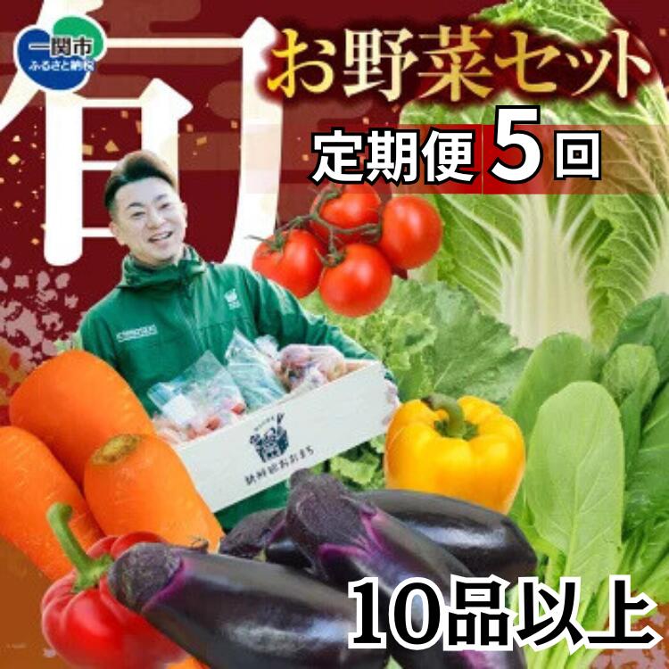 【ふるさと納税】野菜 定期便 5回 お楽しみ 野菜セット 旬 新鮮 詰め合わせ セット ギフト 直送 農家 夏野菜 おまかせ お取り寄せ 産直直送 産直 秋 冬 サラダ 詰合せ 5times