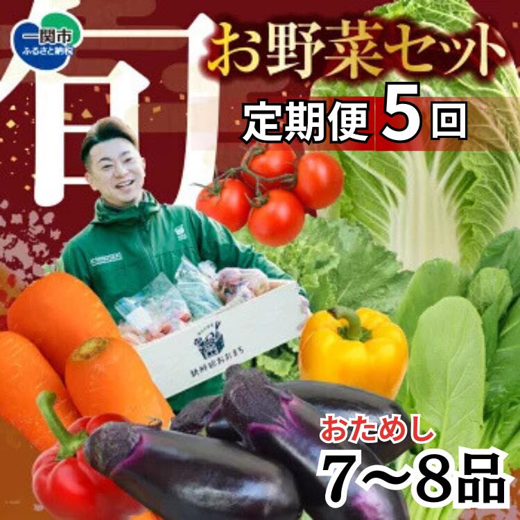 【ふるさと納税】定期便 5回 野菜 お試し 野菜セット お楽しみ 旬 新鮮  詰め合わせ 7～8品 果物 フルーツ ギフト 直送 農家 おまかせ お取り寄せ 産直直送 産直  冬 春 サラダ 詰合せ りんご きのこ 5times
