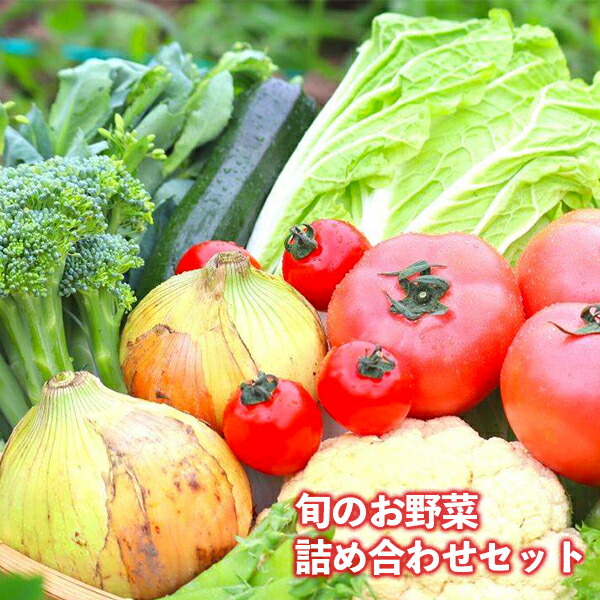 新登場 野菜 定期便 3回 お楽しみ 野菜セット 旬 新鮮 詰め合わせ セット ギフト 直送 農家 夏野菜 おまかせ お取り寄せ 産直直送 産直 秋 冬 サラダ 詰合せ Fucoa Cl