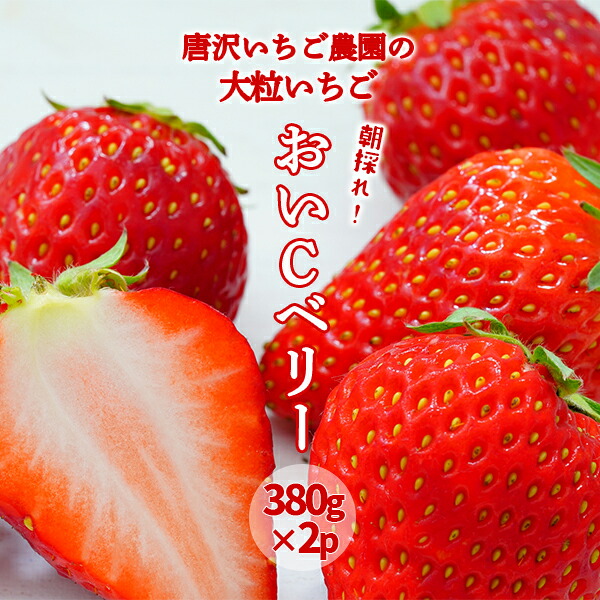 【ふるさと納税】大粒いちご おいCべりー 760g(380g×2パック) 朝採り 産地直送 果物 フルーツ イチゴ 苺 岩手県 一関市 1月中旬~より順次発送
