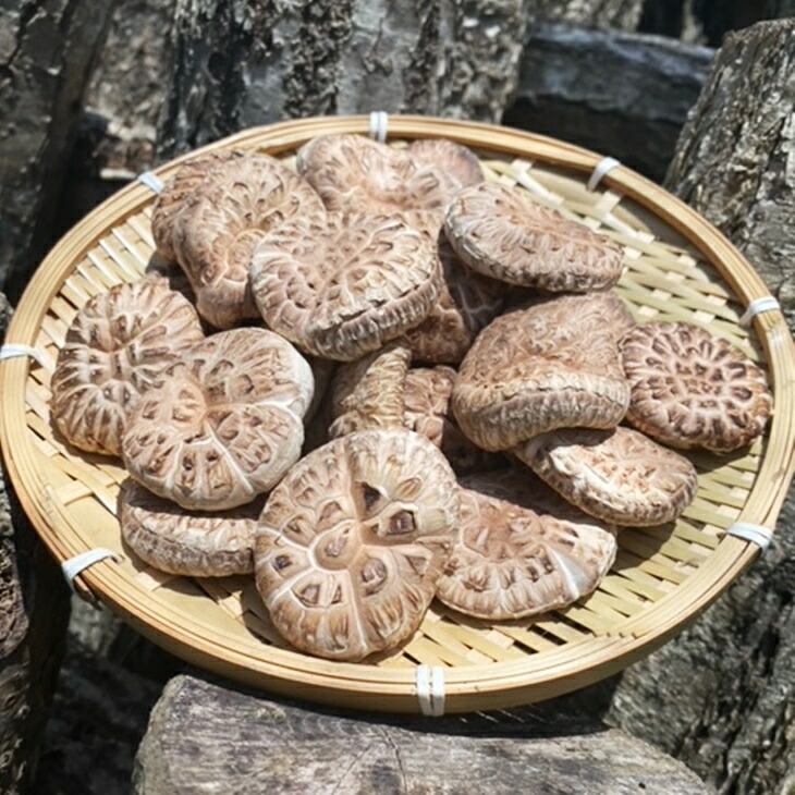 【ふるさと納税】原木栽培 乾燥しいたけ「源流」どんこ 150ｇ