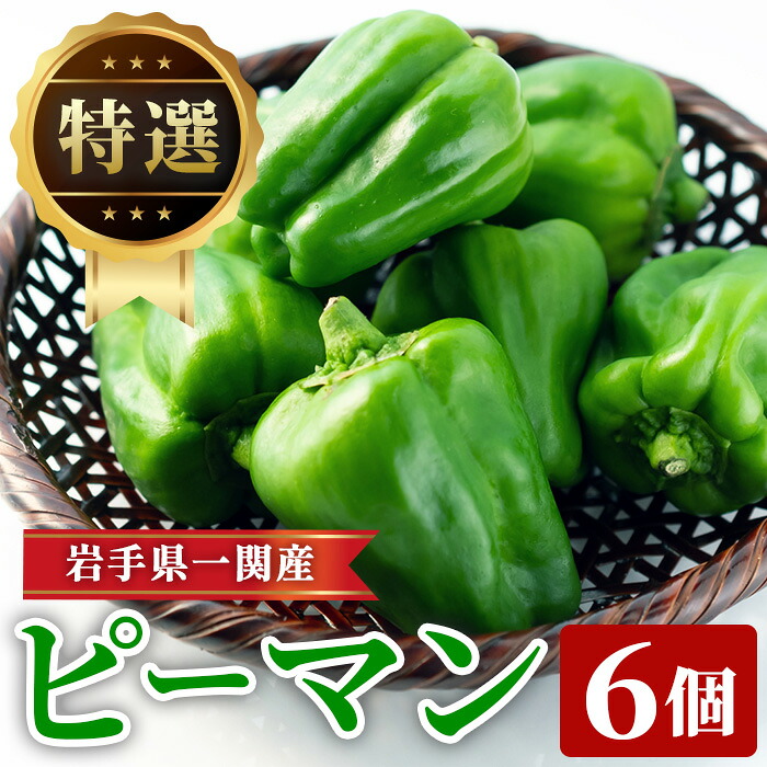 【ふるさと納税】先行予約 特選 ピーマン 6個 野菜 朝採れ 新鮮 農家直送 ふるさと納税 炒め物 肉詰め 回鍋肉 ホイコーロー 栄養豊富 高品質 6月～10月発送 送料無料 岩手県 一関市