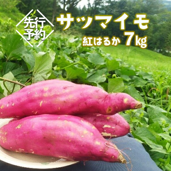 いいスタイル ≪先行予約10月中旬〜順次発送≫大自然で育てたサツマイモ 7kg 紅はるか 野菜・きのこ