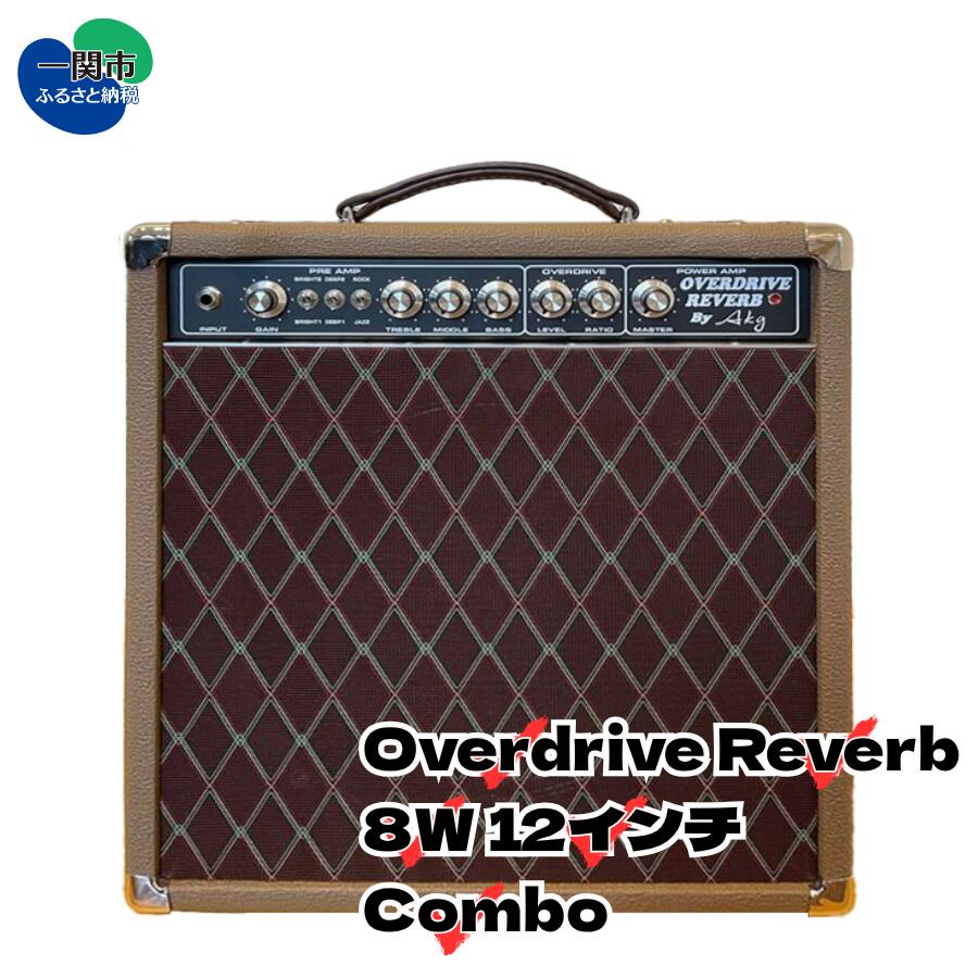 楽天市場】【ふるさと納税】AKG SOUND DESIGN ギターアンプ チューブ