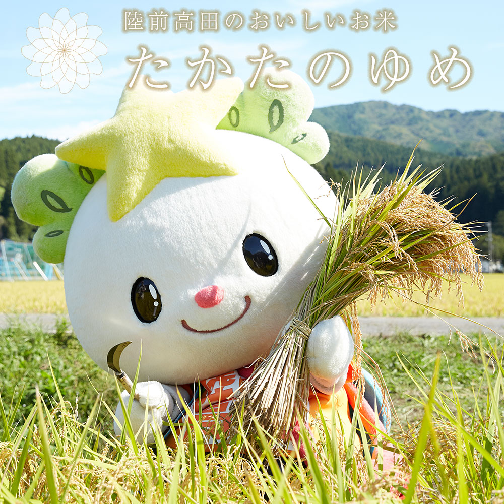 ふるさと納税 白米 たかたのゆめ Kg Kg 袋 米 オリジナル ブランド 米 Paigebird Com