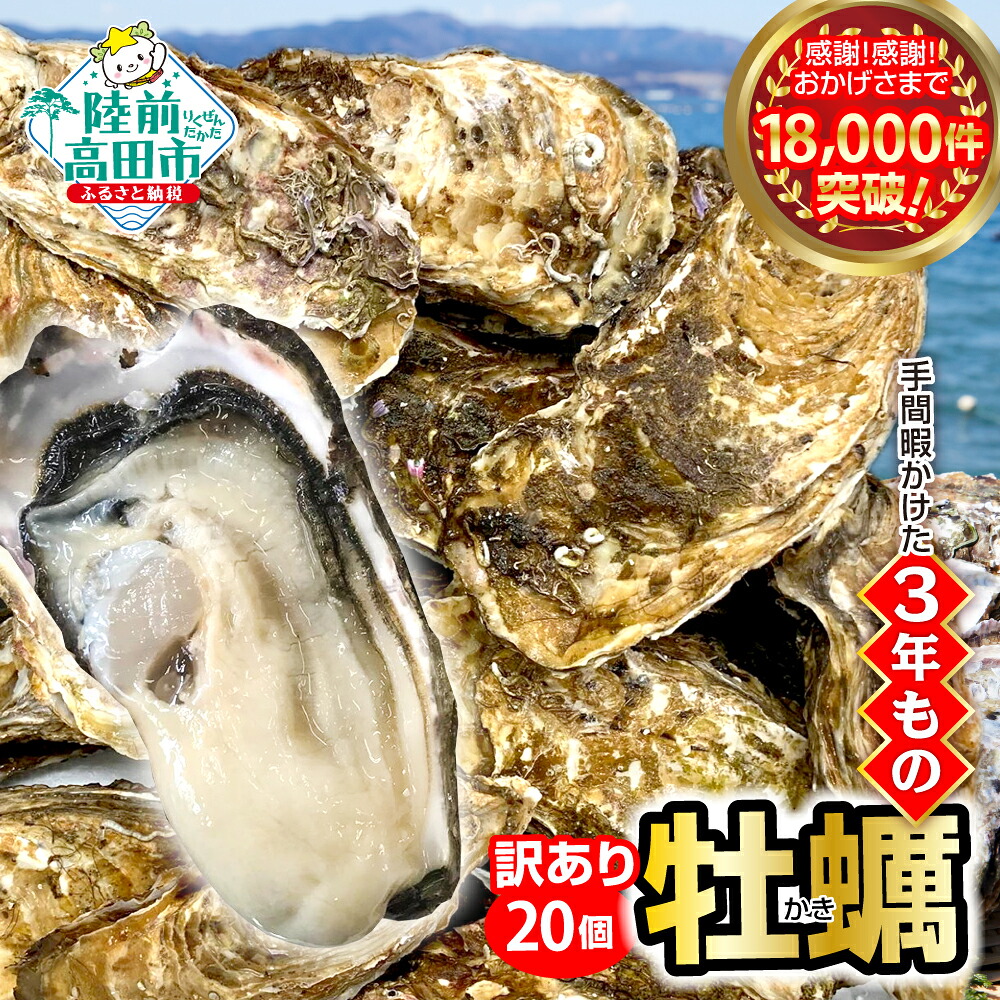 【ふるさと納税】訳あり 牡蠣 20個 殻付き 生食 (ナイフ・軍手・剥き方説明書付き) 発送時期が選べる [ ワケあり 規格外 不揃い かき カキ 生牡蠣 真牡蠣 新鮮 海鮮 鍋 牡蠣鍋 カキフライ バーベキュー BBQ 人気 三陸 産地直送 岩手 陸前高田 マルテン水産 ]