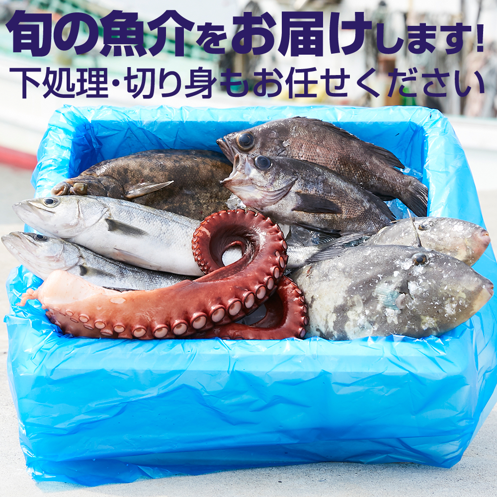 ふるさと納税 海産物 厳選 三陸 海の恵み 魚介類 詰め合わせ セット 鮮魚 下処理可 直送 刺身 切り身 Mpgbooks Com