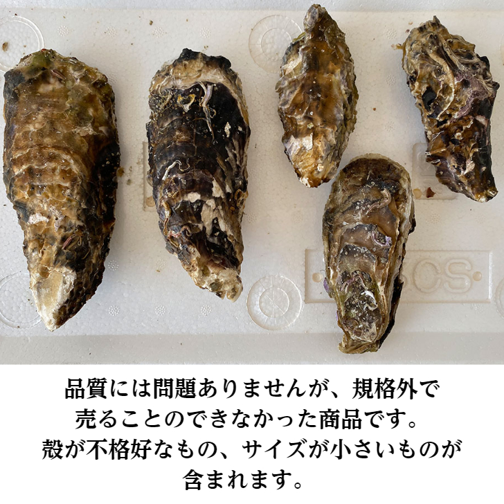 ふるさと納税 海産物 訳あり 殻付き 牡蠣 Kg 約40 50個 不揃い 加熱用 冷凍 緊急支援品 Movilesgarcia Com