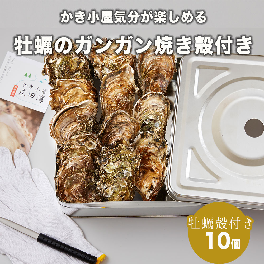 市場 ふるさと納税 22年11月後半 23年4月後半発送 ガンガン焼き セット 牡蠣 殻付き 10個