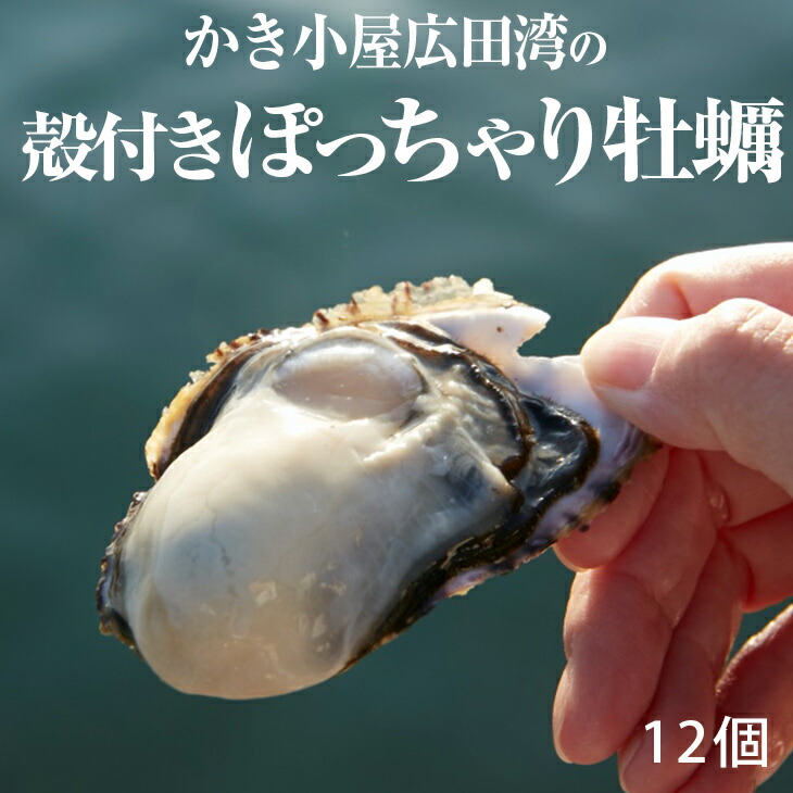 楽天市場】【ふるさと納税】 牡蠣 むき身 大粒 かき 500g M〜Lサイズ (加熱用) 期日指定可 吉田水産 カキ 冷蔵 三陸 陸前高田 岩手  [先行予約/2022.11月より出荷開始] : 岩手県陸前高田市