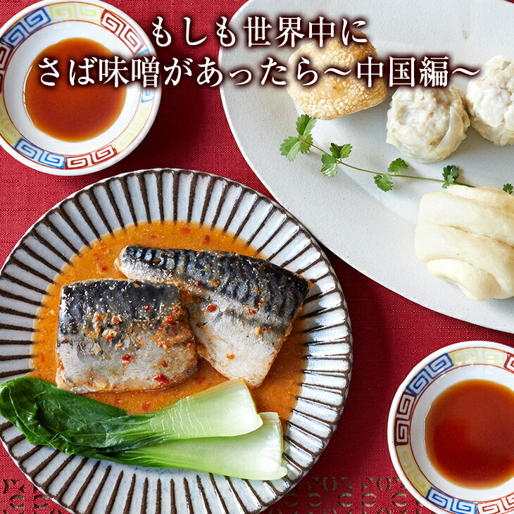 ふるさと納税 サバ味噌 中国 編 豆板醤 2切入 5袋 骨軟らかさば 甘辛味噌煮 鯖 さば 冷凍 Andapt Com