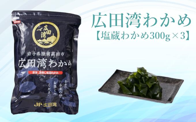 【ふるさと納税】広田湾漁協からお届け！ 広田湾 わかめ ( 塩蔵わかめ 300g×3袋 )【 わかめ 三陸わかめ 海藻 塩蔵 味噌汁 ラーメン スープ サラダ おかず おつまみ 料理 ギフト 贈り物 人気 おすすめ ブランド 国産 三陸 岩手 陸前高田 】★