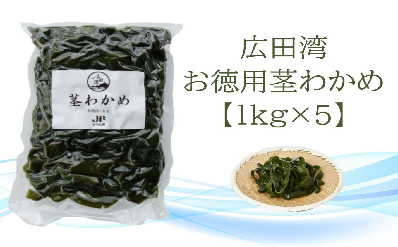 【ふるさと納税】広田湾漁協からお届け！ お得用 茎わかめ (１kg×5袋 )【 わかめ 三陸わかめ 海藻 塩蔵 佃煮 味噌汁 スープ サラダ おかず おつまみ 料理 ギフト 贈り物 人気 おすすめ 岩手 陸前高田 】★