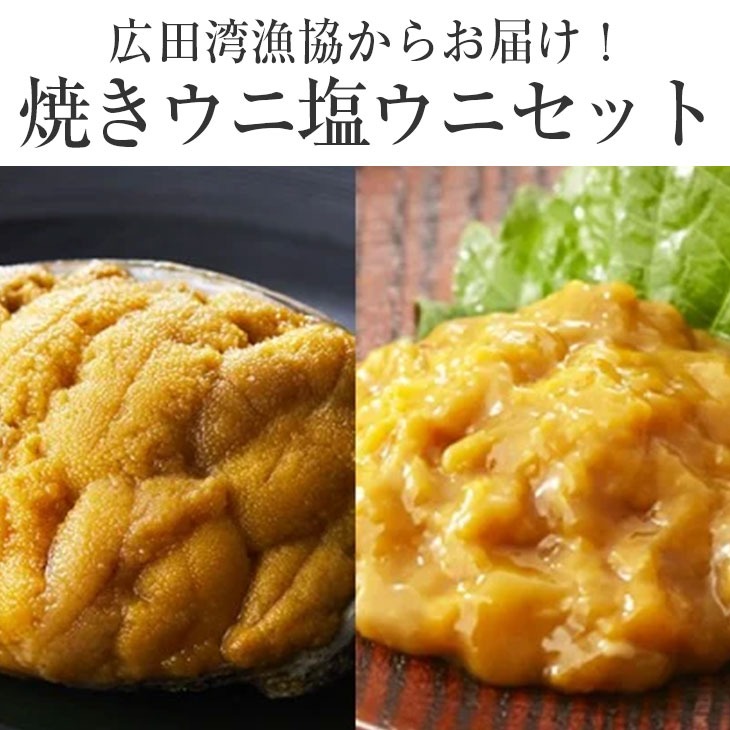 【ふるさと納税】焼きうに ＆ 塩うに 食べ比べ セット 【 ウニ 雲丹 ミョウバン不使用 無添加 濃厚 天然 海産物 海の幸 冷凍 人気 産地直送 旬 ギフト プレゼント 贈り物 贈答品 お祝い 年末年始 おせち おすすめ お取り寄せ リピート 三陸産 広田 岩手県 陸前高田市  】