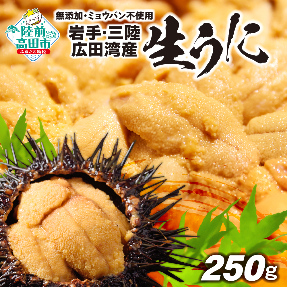 楽天市場】【ふるさと納税】魚 鮮魚 詰め合わせ セット 冷蔵
