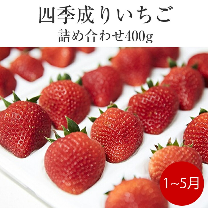 四季成り いちご 2種 詰め合わせ 400g 苺 食べ比べ なつあかり 信大BS8-9 夏の輝 夏のしずく すずあかね おまかせ ギフト 11 周年記念イベントが