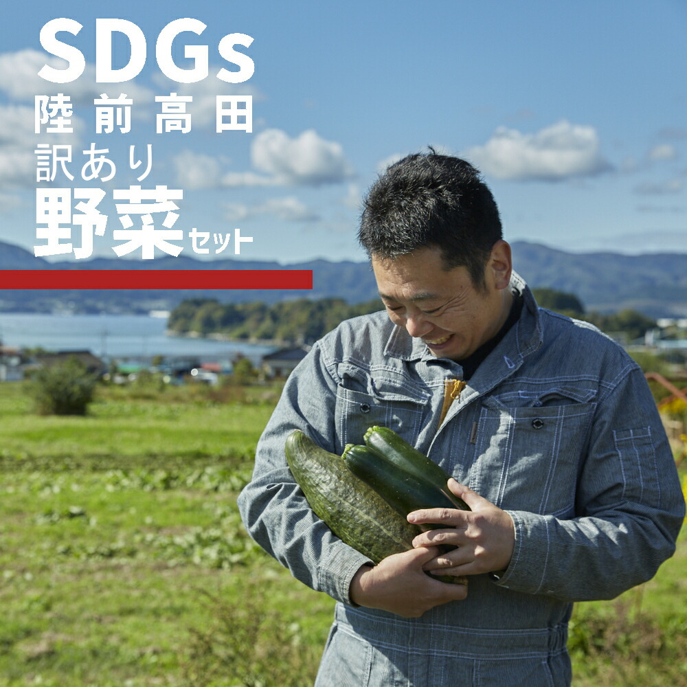 【ふるさと納税】訳あり 野菜セット 約3～4種  5000円 おためし 農家のおすそわけ [ 野菜 やさい ベジタブル 季節 旬 お試し 冷蔵 詰め合わせ セット SDGs お楽しみ こだわり 料理 産地直送 農家 農業 岩手 陸前高田 ひころいちファーム ] 大根 白菜 トマト ブロッコリー